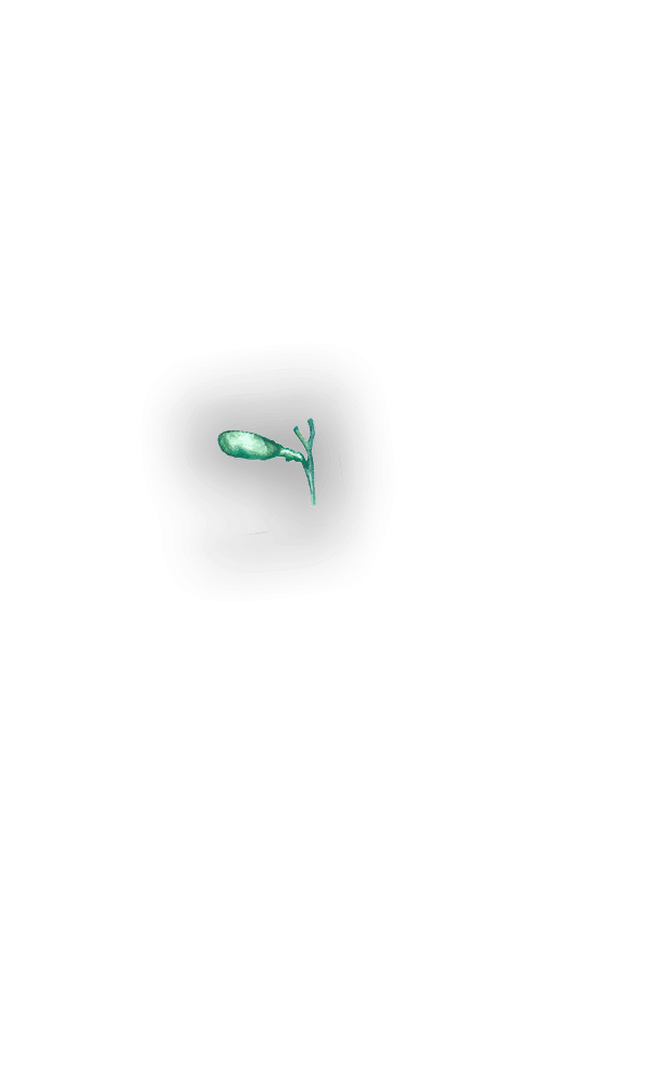 gallbladder
